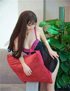 《变相怪杰国语版-装甲骑女》